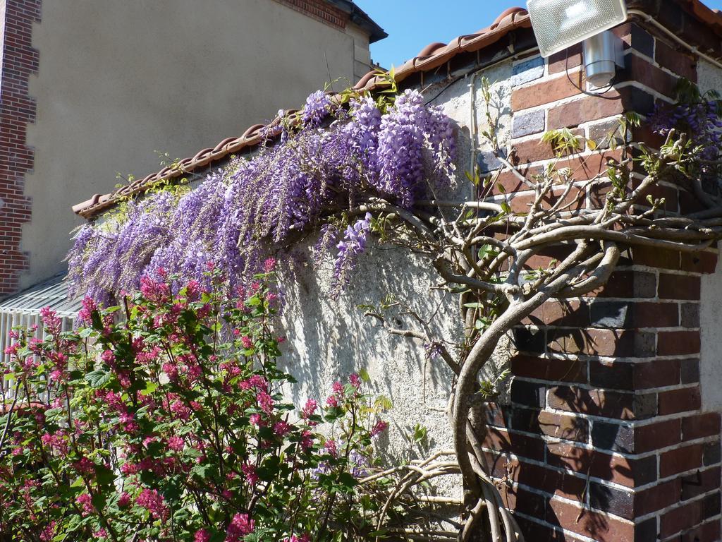 Le Clos Saint Nicolas Château-Renard Zewnętrze zdjęcie